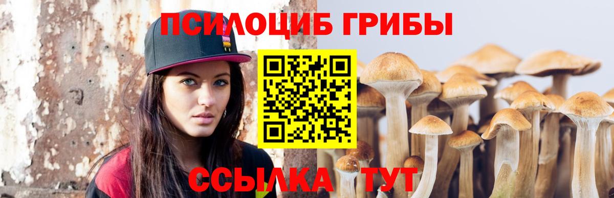 Скопин  Псилоцибиновые грибы Psilocybe  Вход с VPN  Псилоцибиновые грибы Psilocybine cubensis 