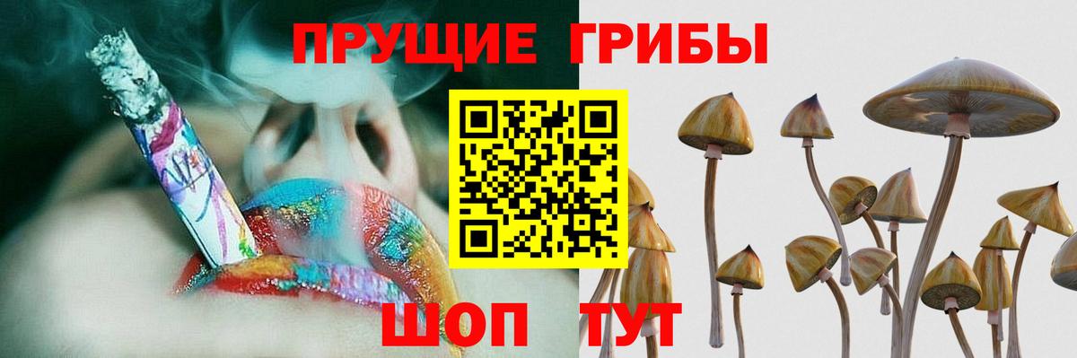 Псилоцибиновые грибы MAGIC MUSHROOMS Скопин